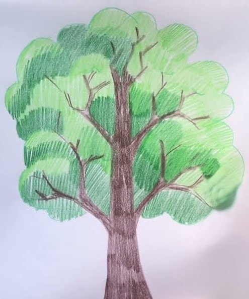 Малюємо крону та листя