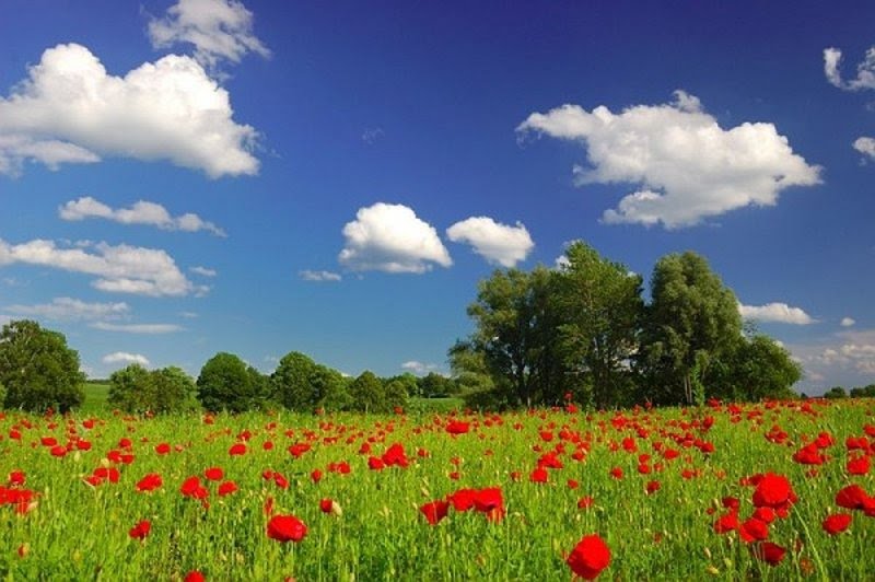 Краса природи та краєвидів