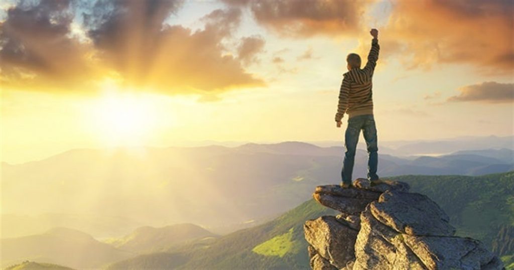 Кар'єра та професійний шлях