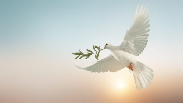 Молитва за мир у світі: як знайти спокій у словах