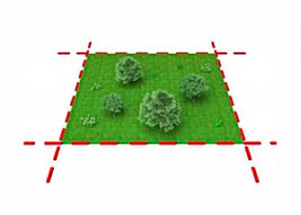 Порівняння гектар і акр: хто переможе?