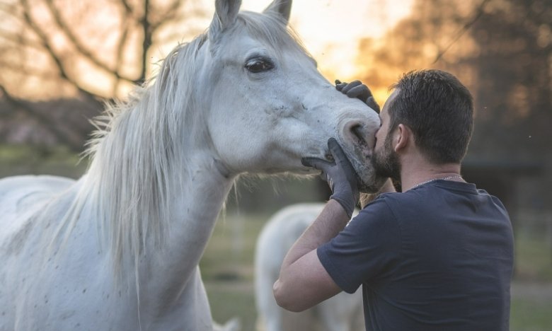 Поради щодо тлумачення власних снів